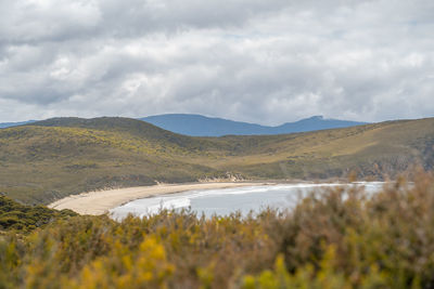 Scenic view of landscape against sky