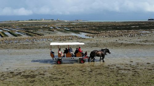 People on horse cart at beach against sky