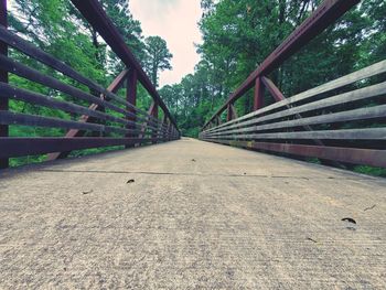 Surface level of footbridge along trees