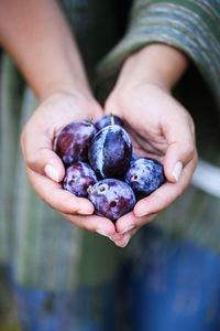 Close-up of hand holding berries