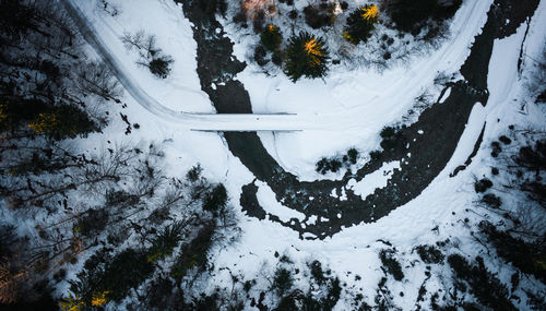 High angle view of snow covered land and trees