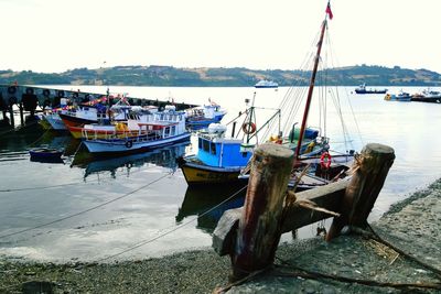 Fishing boats in marina