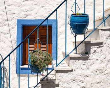 Potted plant on staircase against building