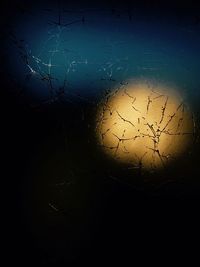 Close-up of water drops on spider web against sky
