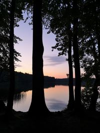 Silhouette trees by lake against sky during sunset