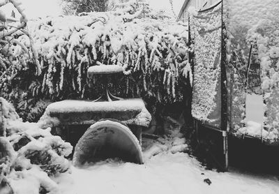 Snow covered landscape
