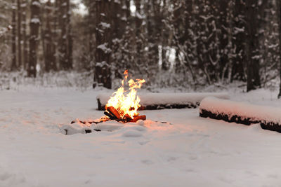 Bonfire on snow covered land