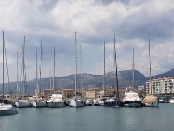 Sailboats moored in harbor