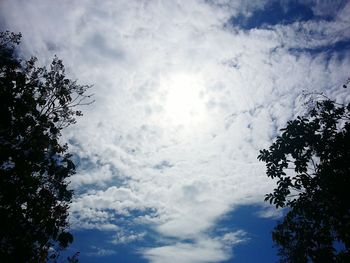 Low angle view of trees against cloudy sky