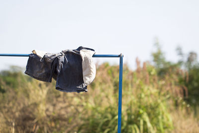 Close-up of shorts drying on field against sky