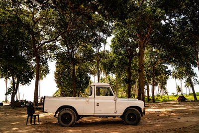 Vintage car parked on road along trees