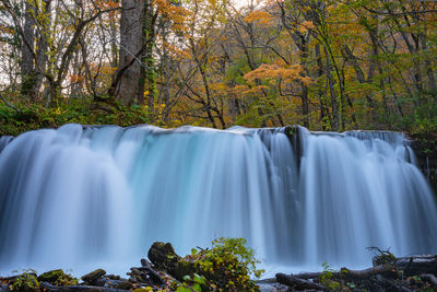 Scenic view of waterfall in forest