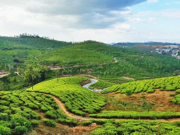 Scenic view of agricultural field against sky