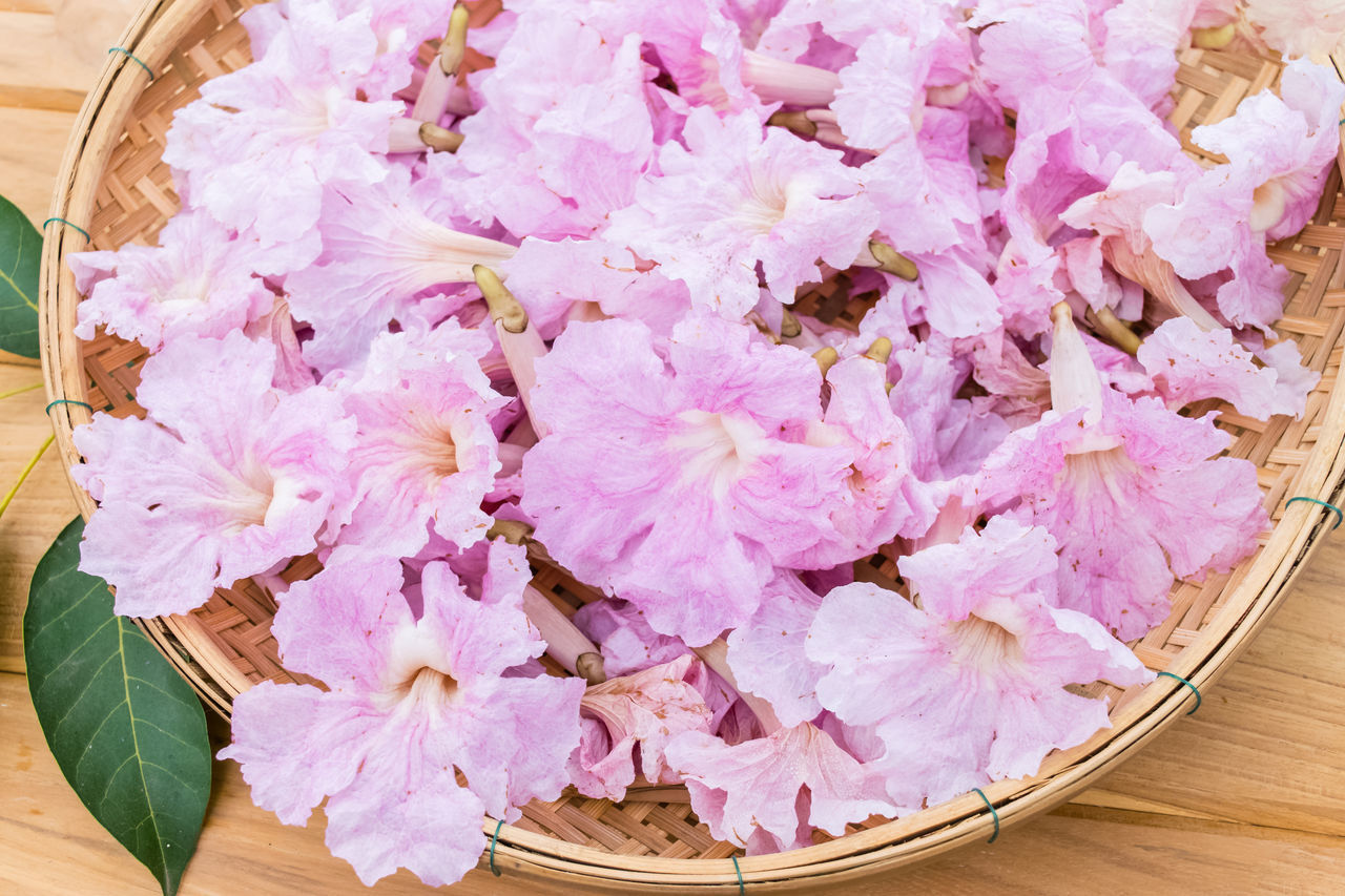 HIGH ANGLE VIEW OF PINK FLOWERING PLANTS IN WICKER BASKET