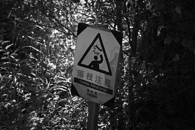 Information sign against trees