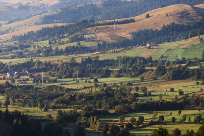 High angle view of trees on landscape