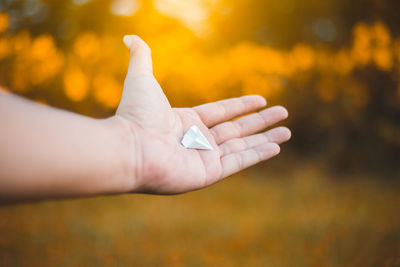 Close-up of hand holding origami against trees