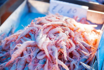 Box full of red shrimp. early winter morning on marsaxlokk market, malta.
