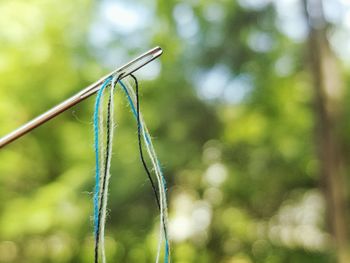 Close-up of sewing needle