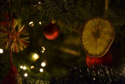 Close-up of illuminated christmas tree at night