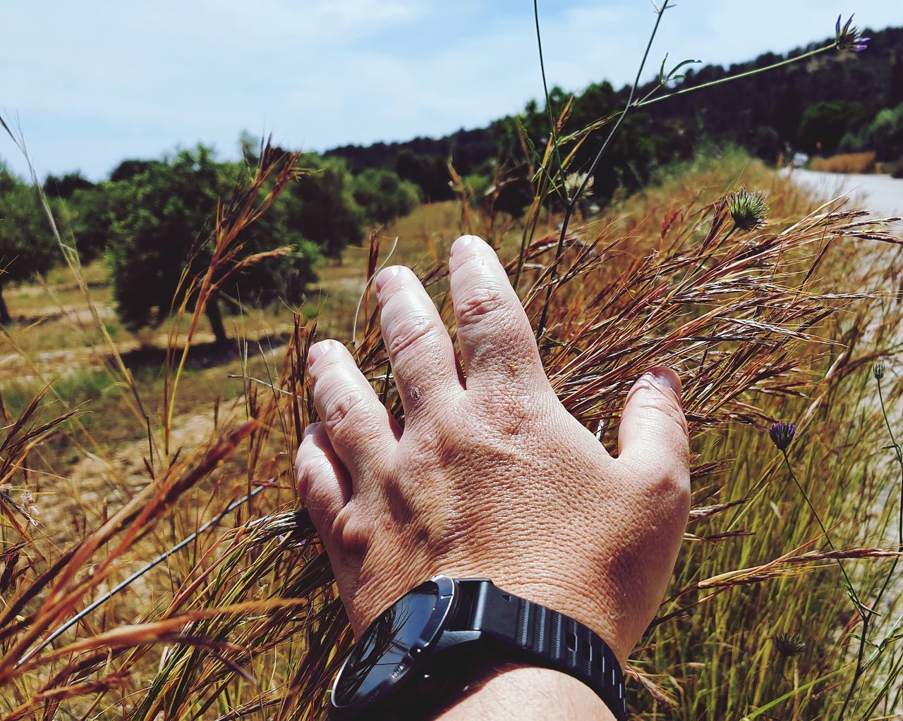 grass, personal perspective, hand, nature, plant, one person, tree, watch, soil, land, sky, leisure activity, day, adult, lifestyles, landscape, outdoors, environment, close-up, focus on foreground, field, women, finger