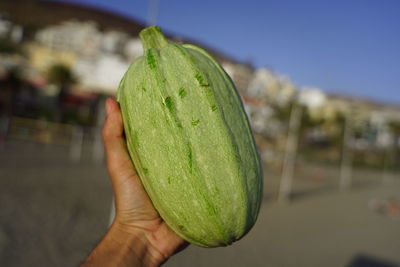 Close-up of hand holding fruit