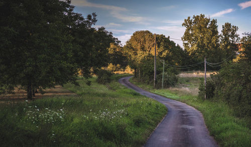Road amidst trees against sky