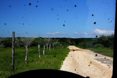 Scenic view of landscape against clear sky