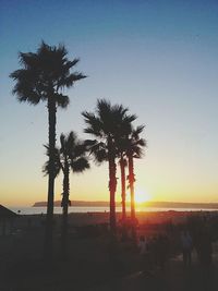 Silhouette palm trees at sunset