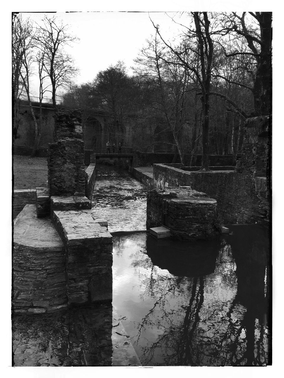 transfer print, auto post production filter, water, built structure, tree, architecture, building exterior, reflection, sky, day, bare tree, nature, river, outdoors, branch, house, no people, plant, tranquility, sunlight