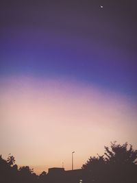 Low angle view of trees against blue sky