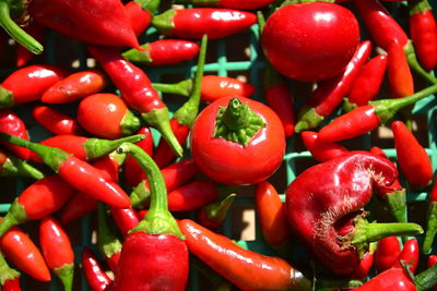 Close-up of red chili peppers for sale