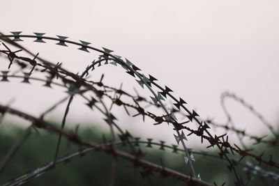 Low angle view of barbed wire fence against sky