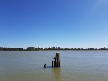 Scenic view of lake against clear blue sky