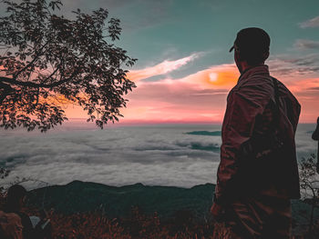 Rear view of man standing by tree against sky during sunset