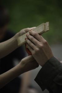 Cropped hands holding wood