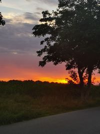 Silhouette trees on field against sky during sunset