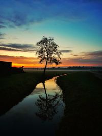 Silhouette tree by lake against sky during sunset