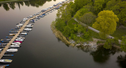 High angle view of boats and trees in river