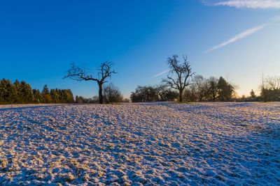 Scenic view of field against blue sky during winter