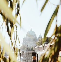 Berlin cathedral by spree river against sky seen through leaves