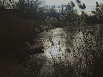 Scenic view of lake