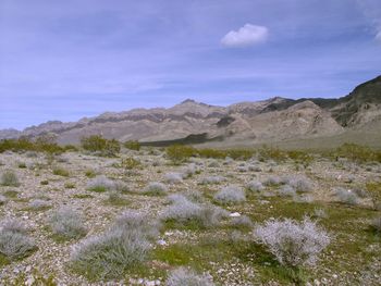 Scenic view of mountains against blue sky