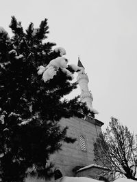 Low angle view of tree and building against sky