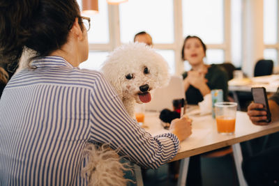 Rear view of businesswoman sitting with dog while sitting at desk in creative office