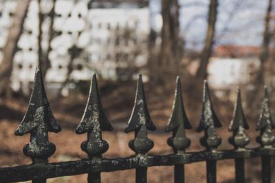 Close-up of metal fence