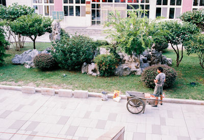 Woman with bicycle against trees in city