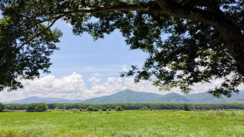 Scenic view of field against sky