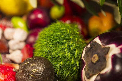 Close-up of multi colored fruits