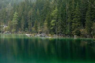 Scenic view of lake by trees